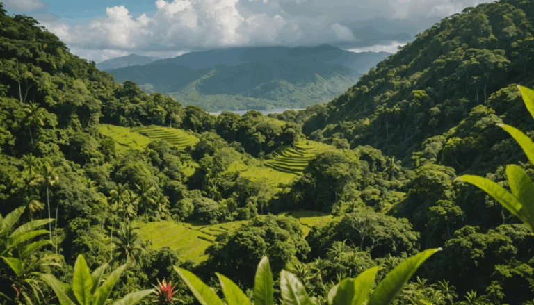 Circuit Costa Rica 15 jours : itinéraire pour explorer ses trésors naturels